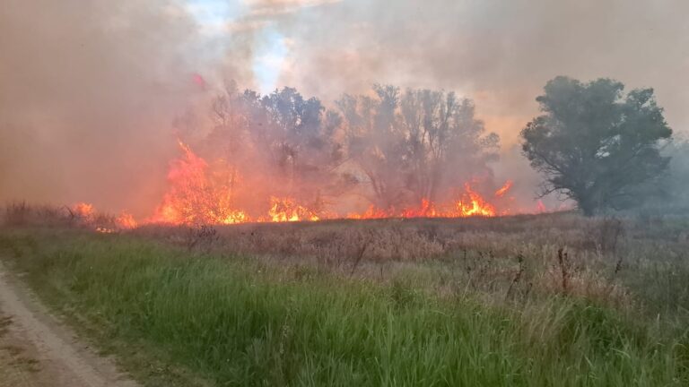 Pompieri stingând un incendiu de vegetație uscată în apropierea localității Văleni, Cahul, 5 mai 2025