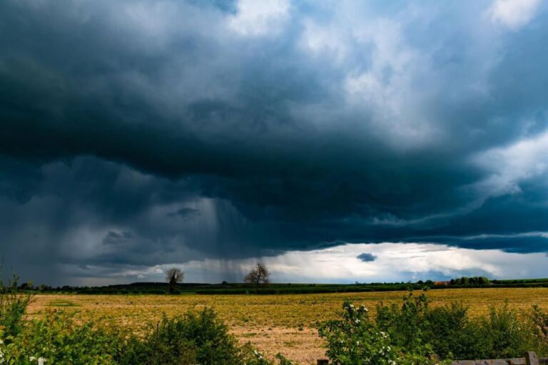 Culturile agricole afectate de grindină și ploi torențiale în raionul Soroca, Moldova, iulie 2025