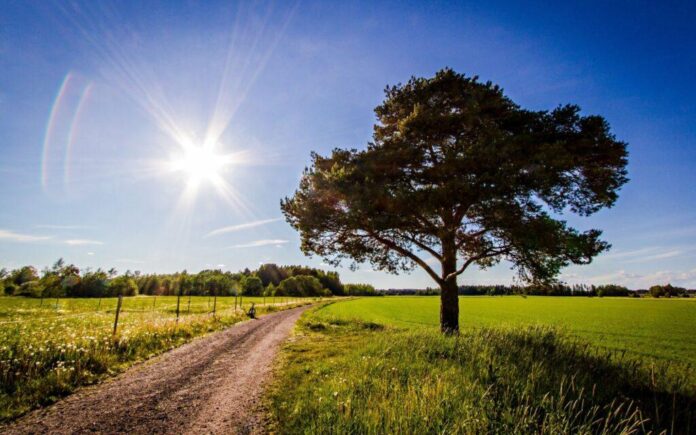 Prognoza meteo 17 august Moldova – cer senin și temperaturi ridicate de până la +34°C