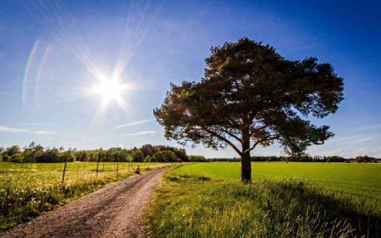 Prognoza meteo 17 august Moldova – cer senin și temperaturi ridicate de până la +34°C