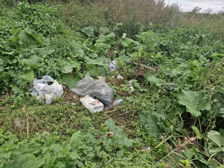 Patru persoane din raionul Edineț sancționate pentru depozitarea ilegală a deșeurilor în zone publice.