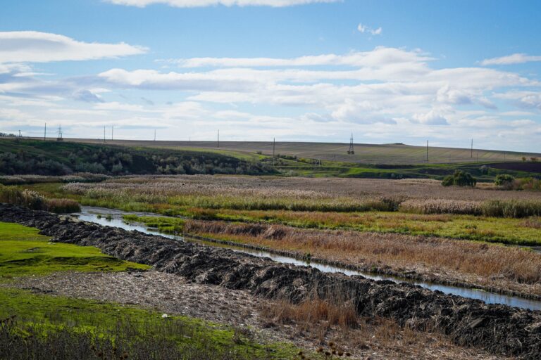 Lucrările de decolmatare a râului Răut continuă în raionul Florești pentru prevenirea inundațiilor și refacerea cursului natural al apei.