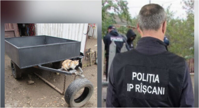 Polițiștii din Rîșcani au depistat bunuri sustrase în urma percheziției la domiciliul unui minor bănuit de furturi de roți și accesorii auto.