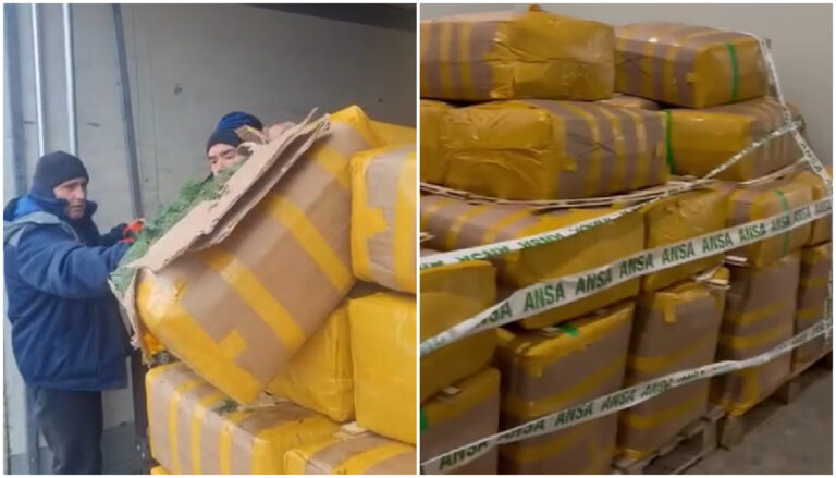 Lot de mărar și pătrunjel cu pesticide depășite, oprit și nimicit de ANSA. Produse neconforme identificate înainte de a ajunge pe piață.