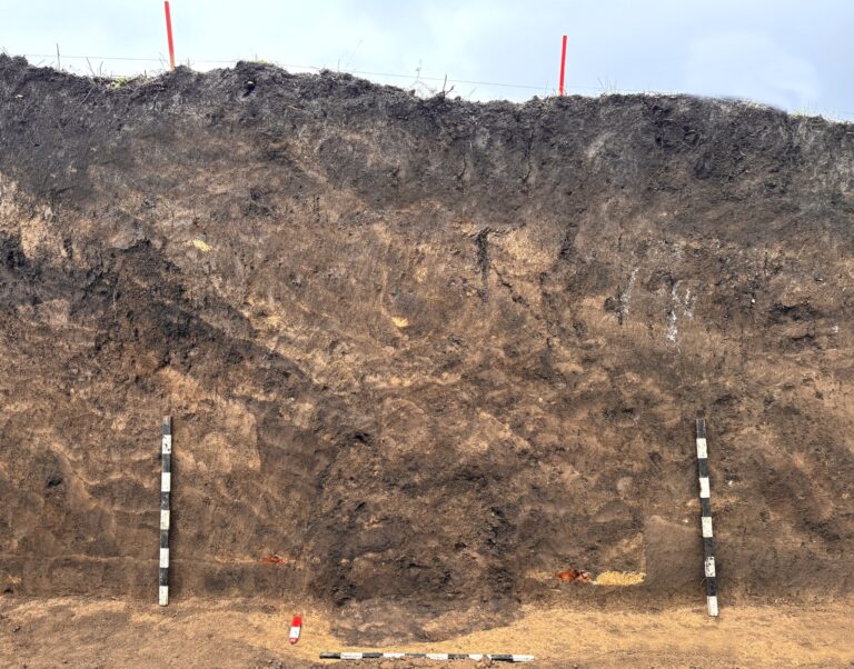 Arheologii au descoperit cinci complexe funerare Iamnaia într-un tumul de la Sîngerei