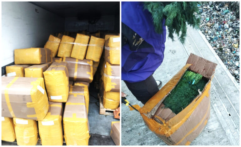 ANSA a nimicit 7,5 tone de mărar de import contaminat