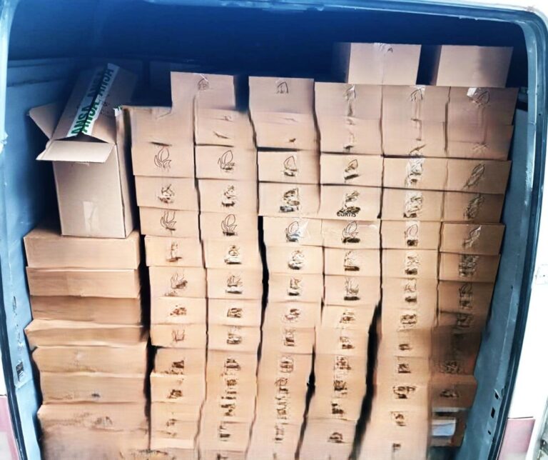 Imagine cu inspectorii ANSA verificând un lot de ceai importat