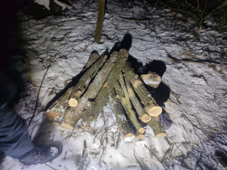 Defrișare ilegală depistată noaptea într-un trup de pădure din Nihoreni, raionul Rîșcani.