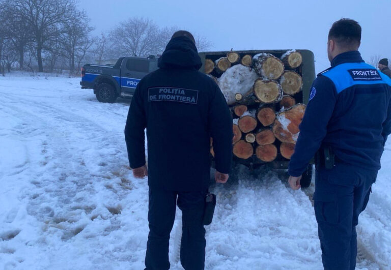 Poliția de Frontieră verifică un transport ilegal de masă lemnoasă în zona de frontieră Ocnița