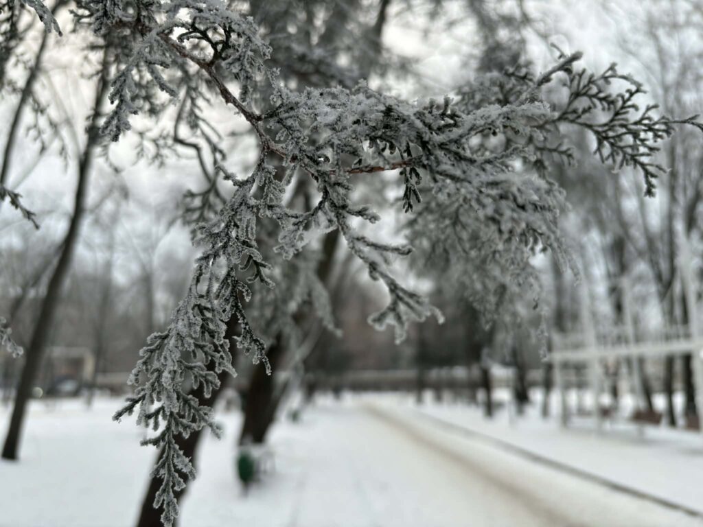 Autoritățile se mobilizează pentru gestionarea riscurilor generate de condițiile meteo din perioada 4–8 februarie.