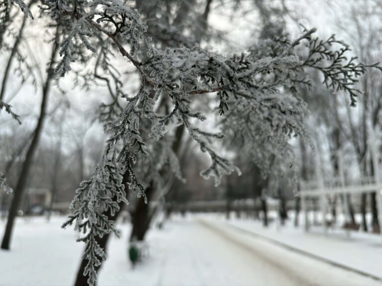 Autoritățile se mobilizează pentru gestionarea riscurilor generate de condițiile meteo din perioada 4–8 februarie.