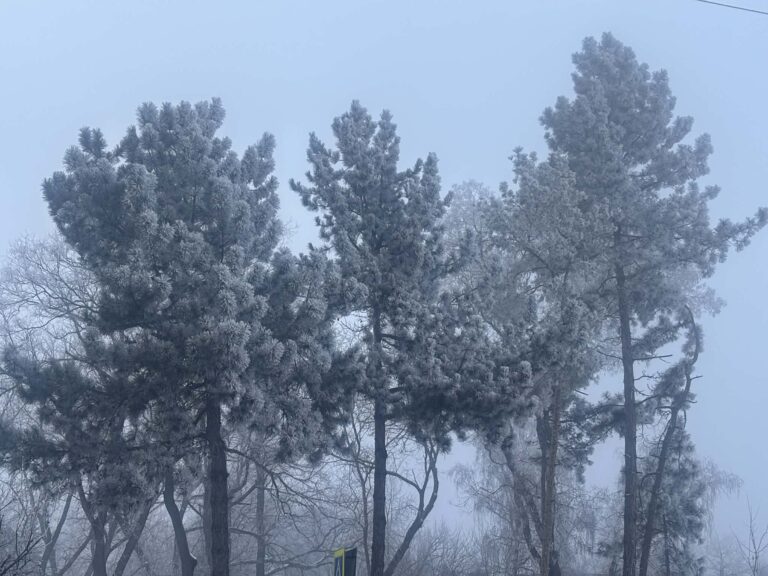 Harta Codului Galben de polei și ghețuș emis pentru Republica Moldova.