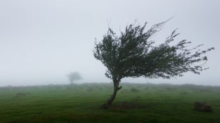 Meteorologii au emis cod galben de intensificări ale vântului pentru 7–8 aprilie. Rafalele pot ajunge până la 20 m/s pe arii extinse.