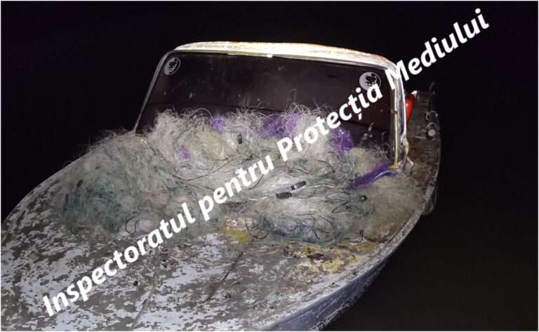 Inspectorii de mediu au scos plase ilegale de pescuit din apele Prutului, în urma unor razii nocturne la Rîșcani. Acțiunile vizează combaterea braconajului.